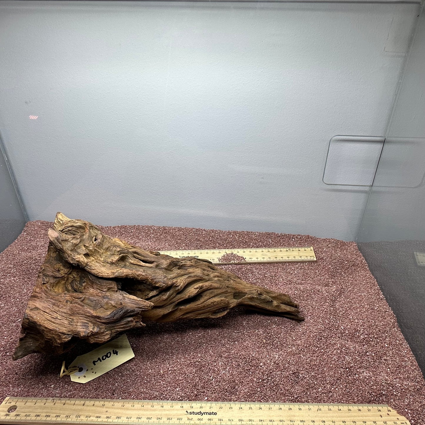 Driftwood (Medium)