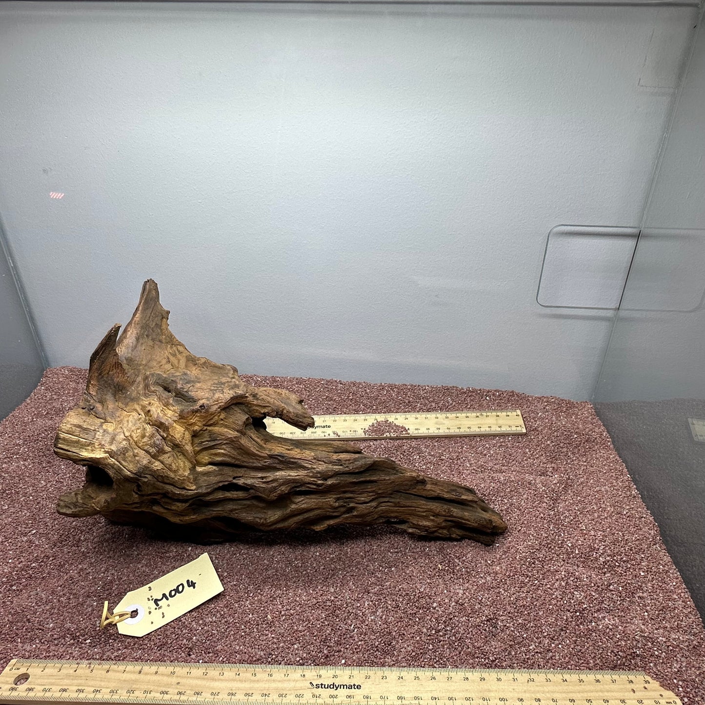 Driftwood (Medium)