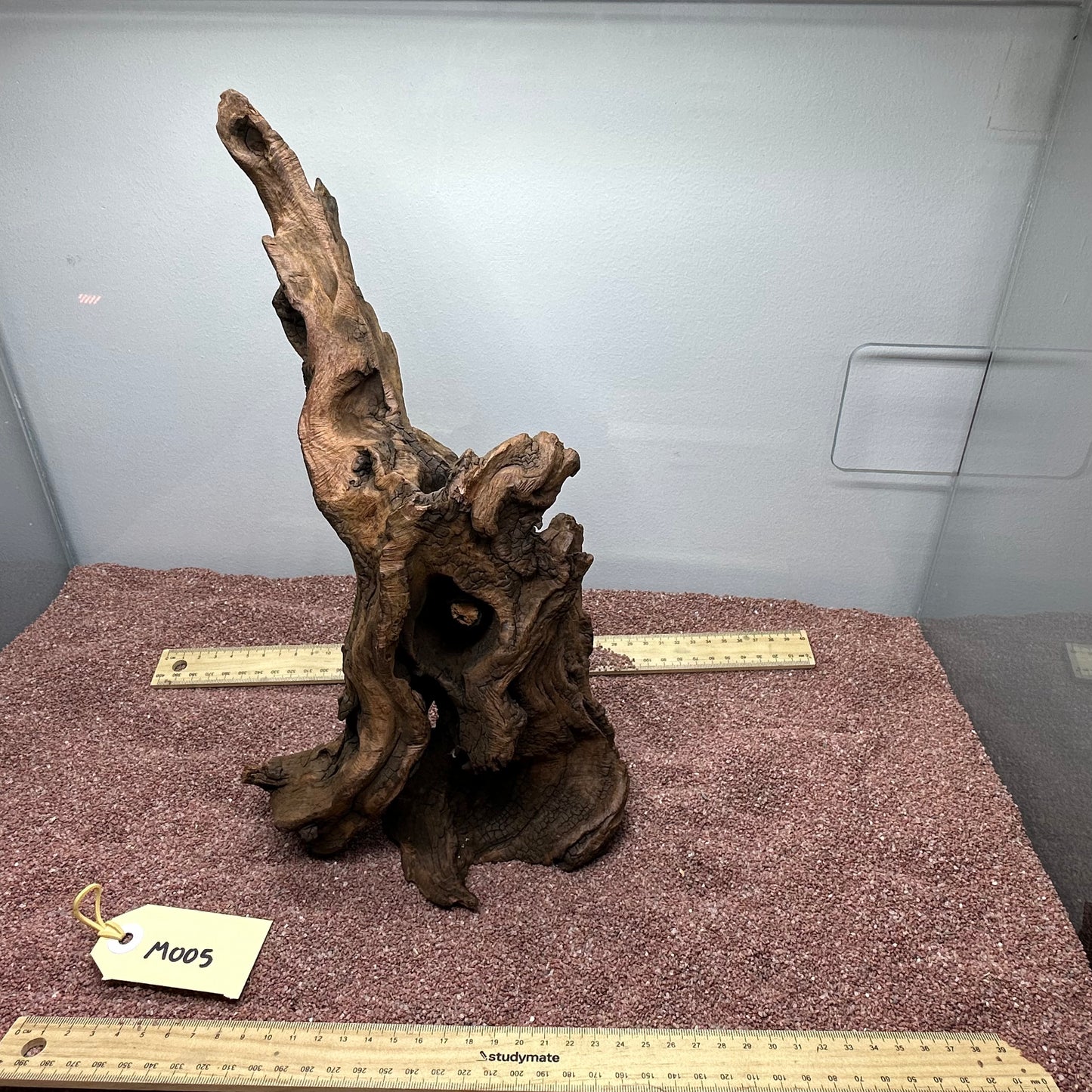 Driftwood (Medium)