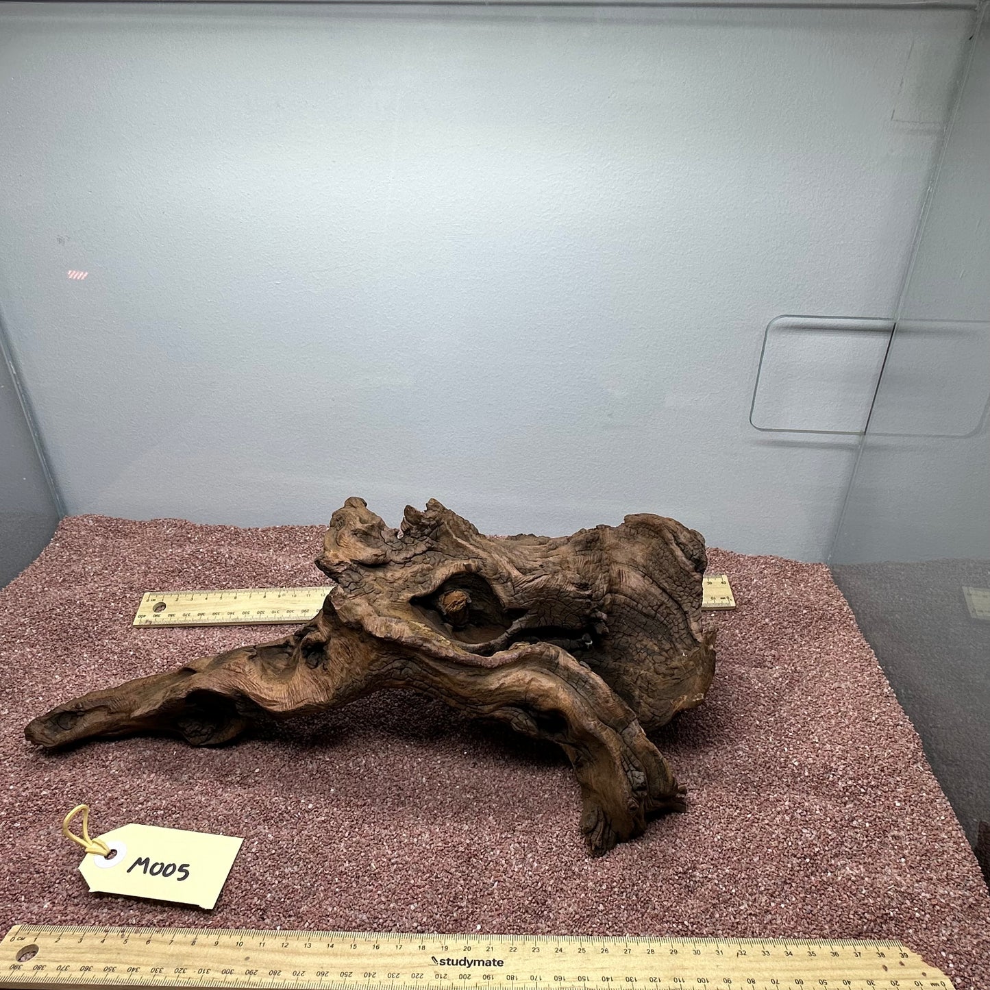 Driftwood (Medium)