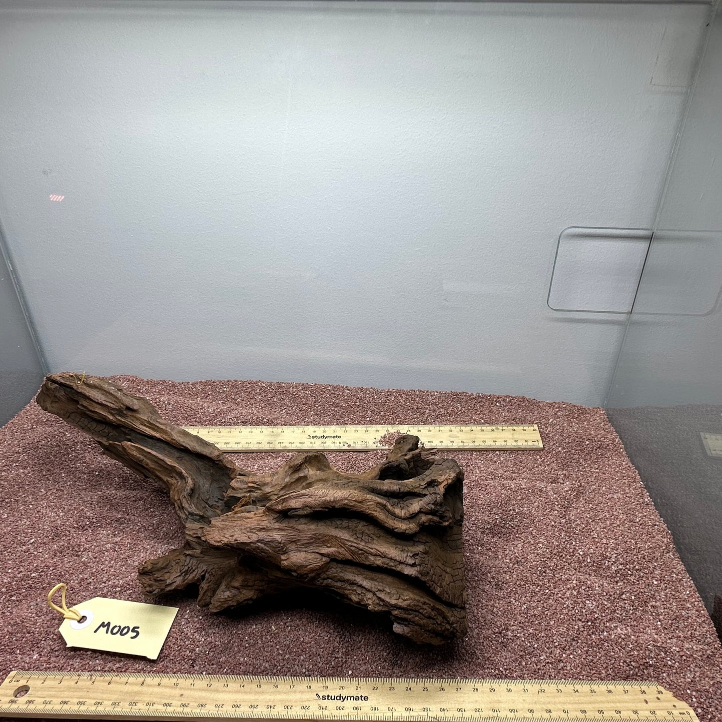 Driftwood (Medium)