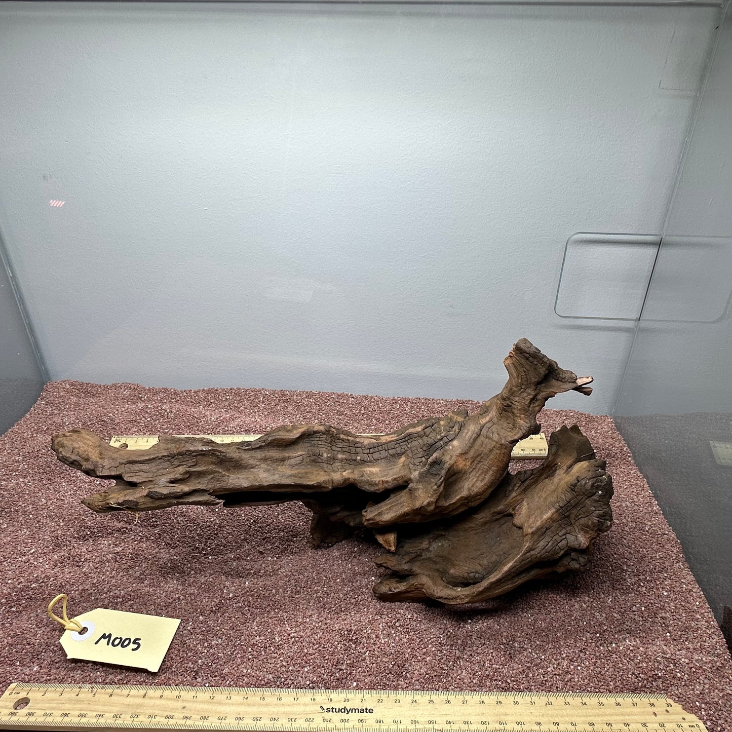 Driftwood (Medium)