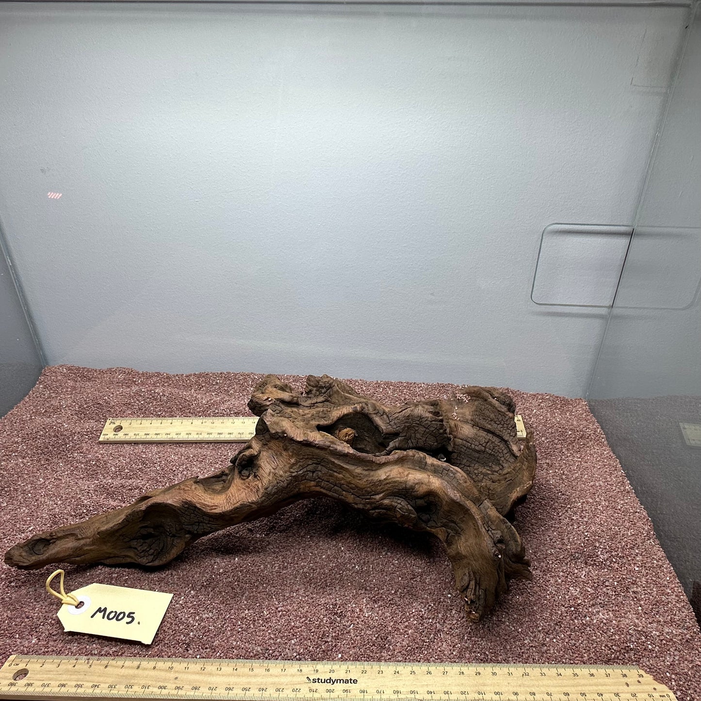 Driftwood (Medium)