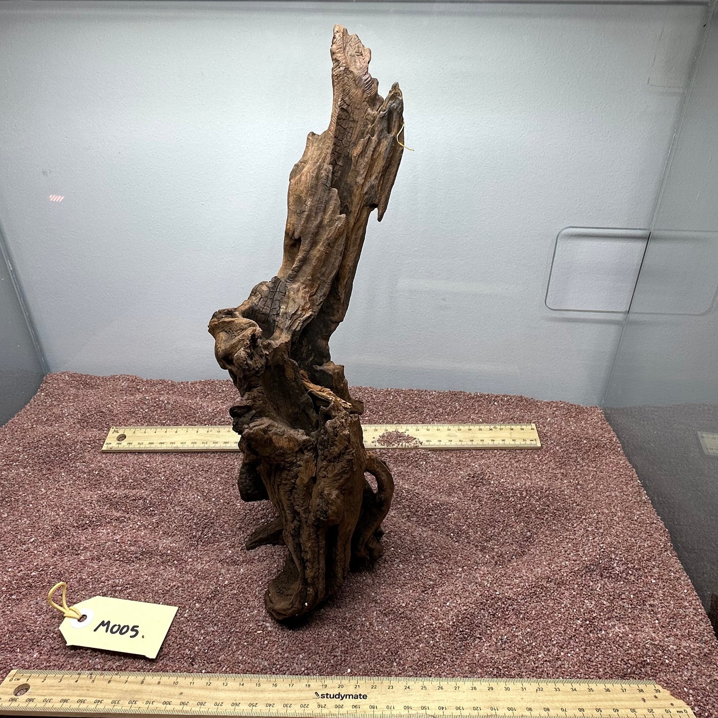Driftwood (Medium)