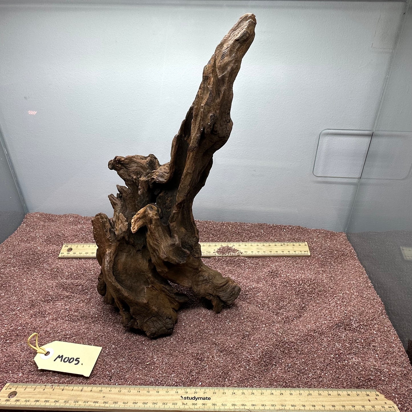 Driftwood (Medium)