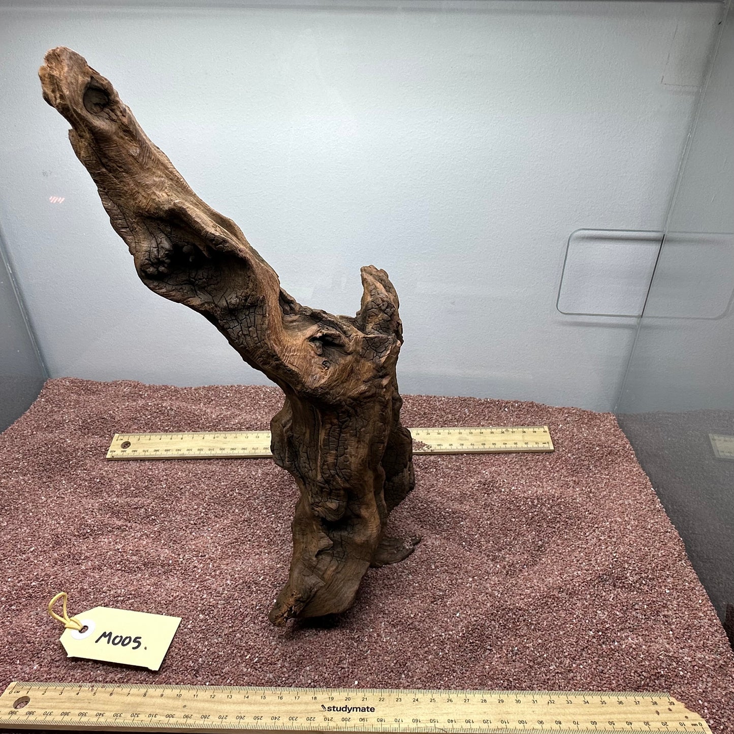 Driftwood (Medium)