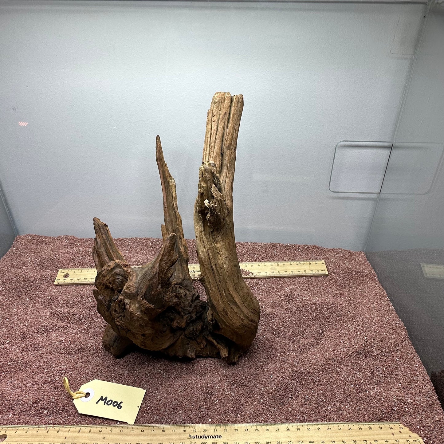 Driftwood (Medium)