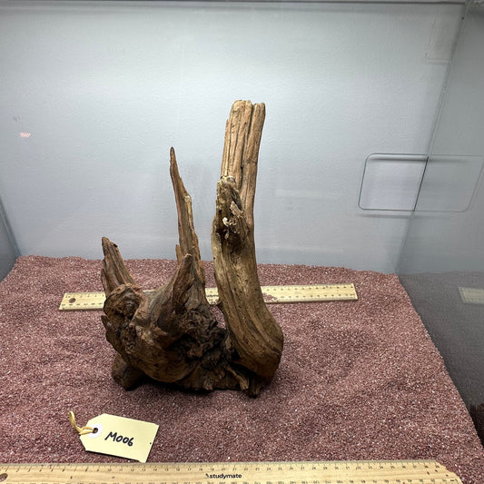Driftwood (Medium)