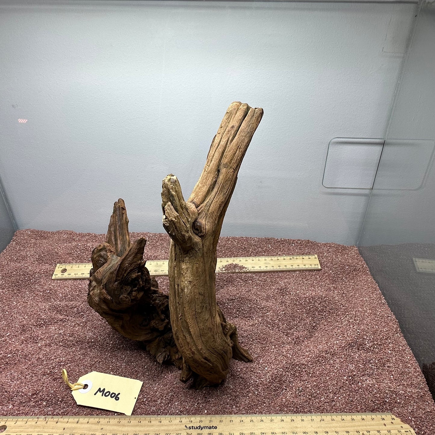 Driftwood (Medium)
