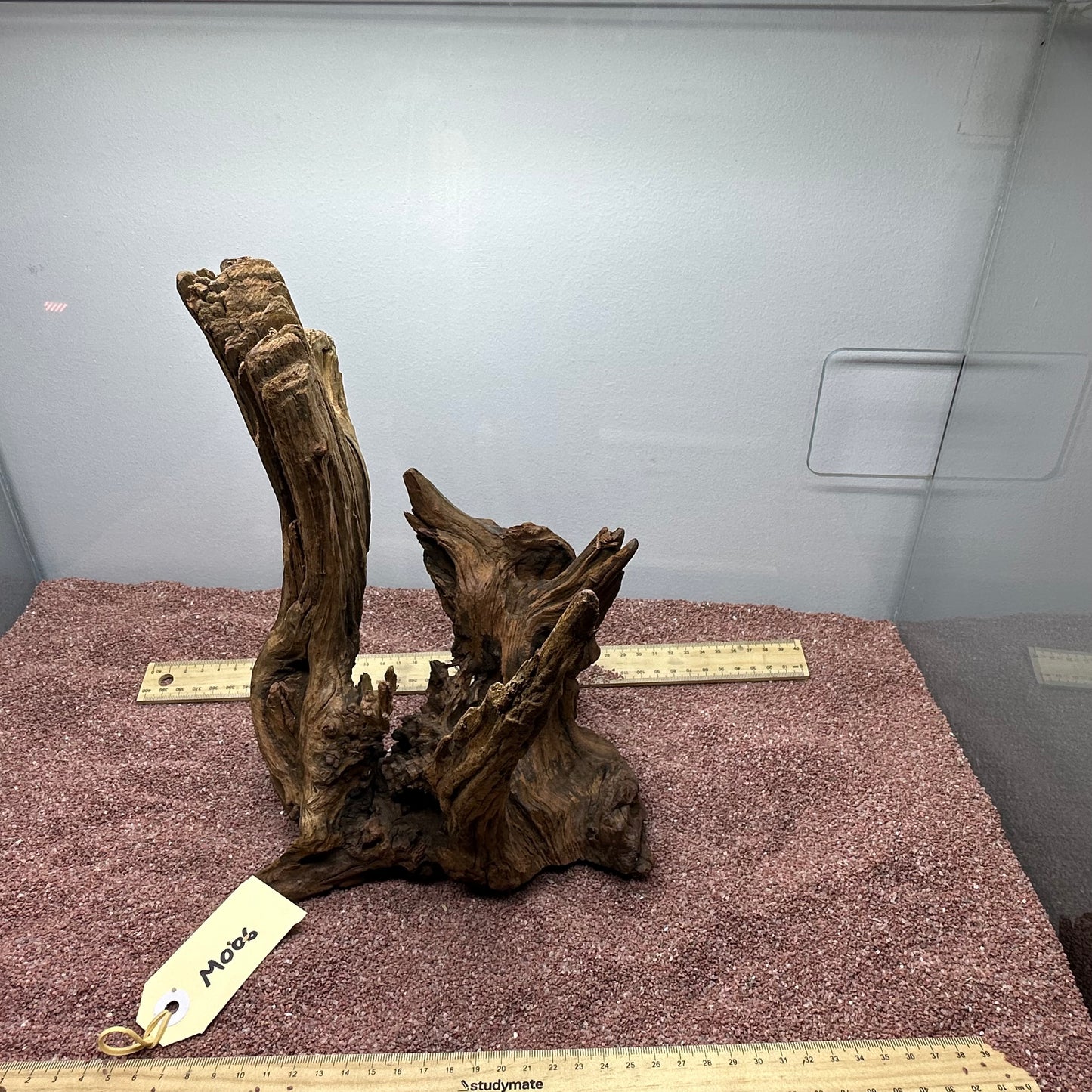 Driftwood (Medium)