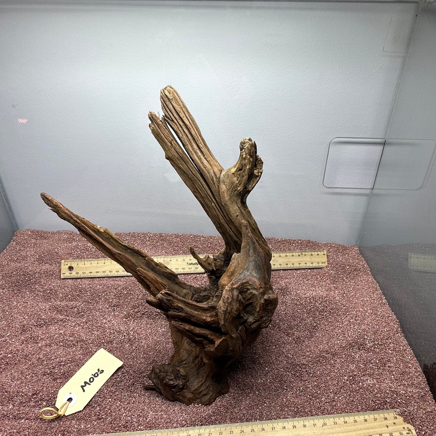 Driftwood (Medium)
