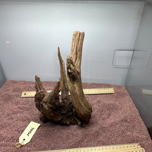 Driftwood (Medium)