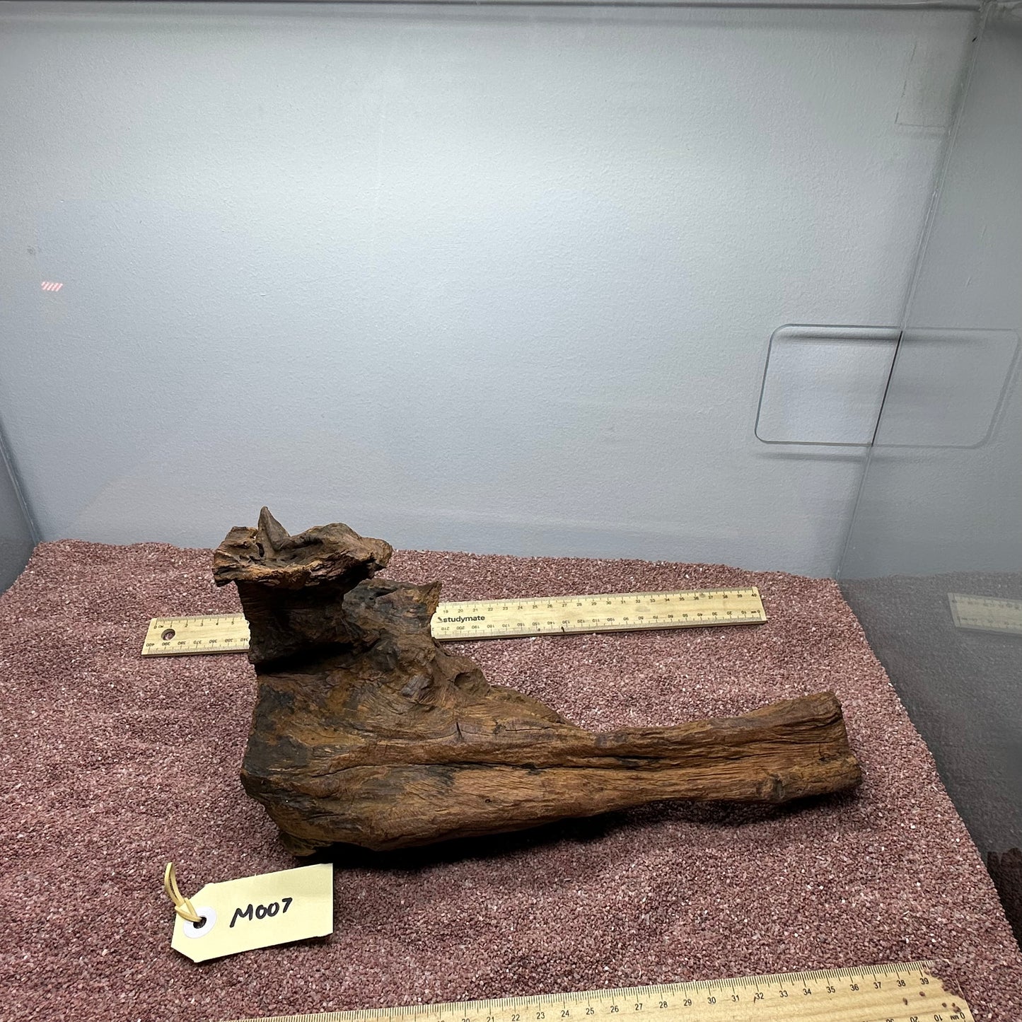 Driftwood (Medium)