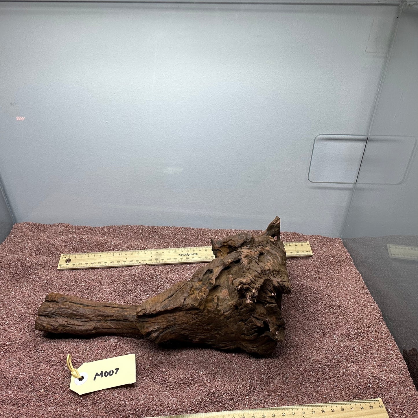 Driftwood (Medium)