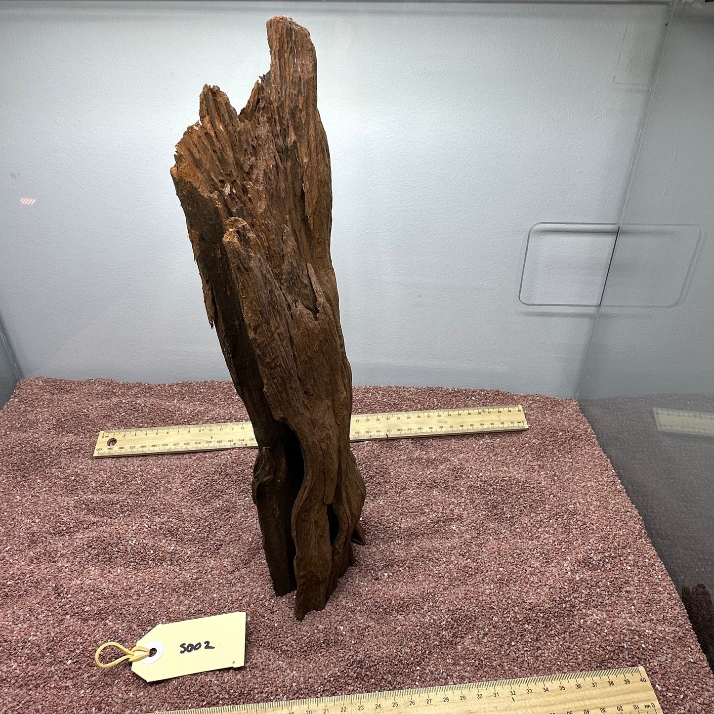 Driftwood (Small)