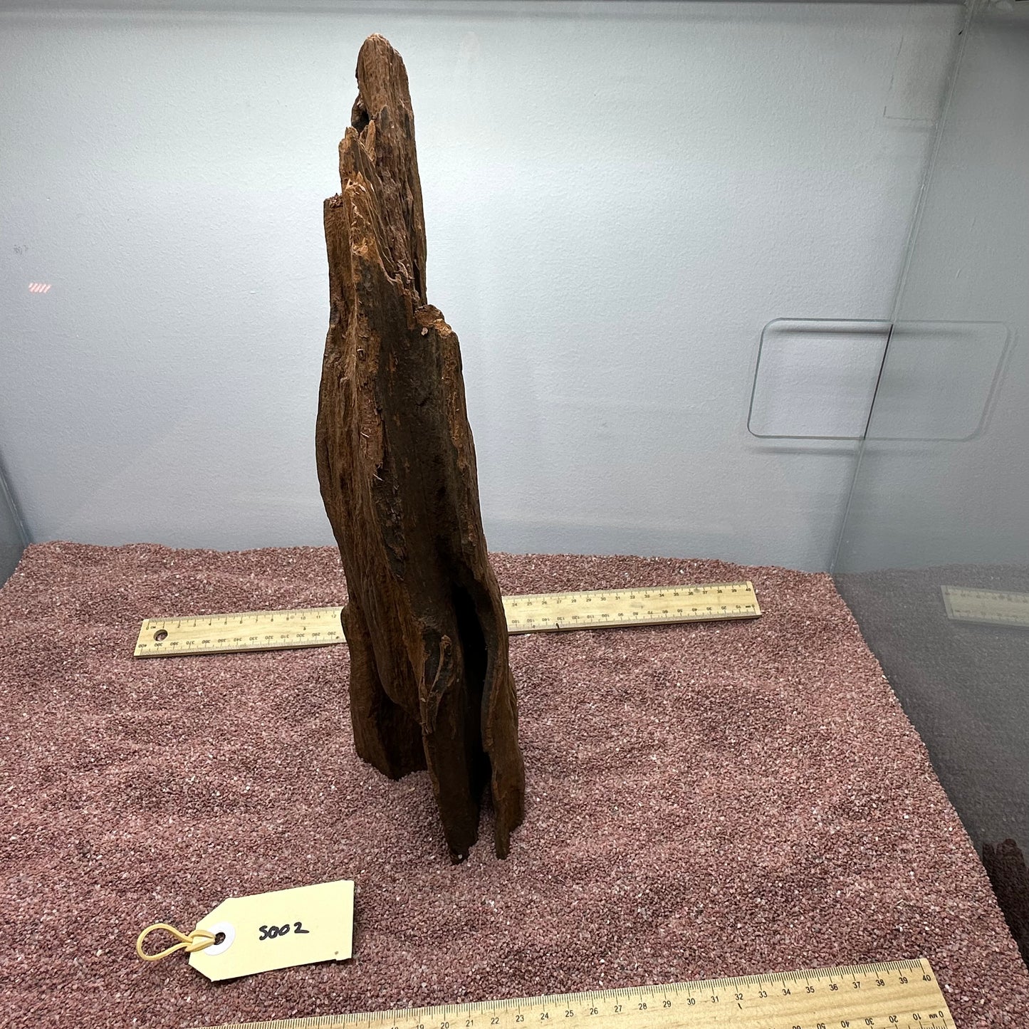Driftwood (Small)