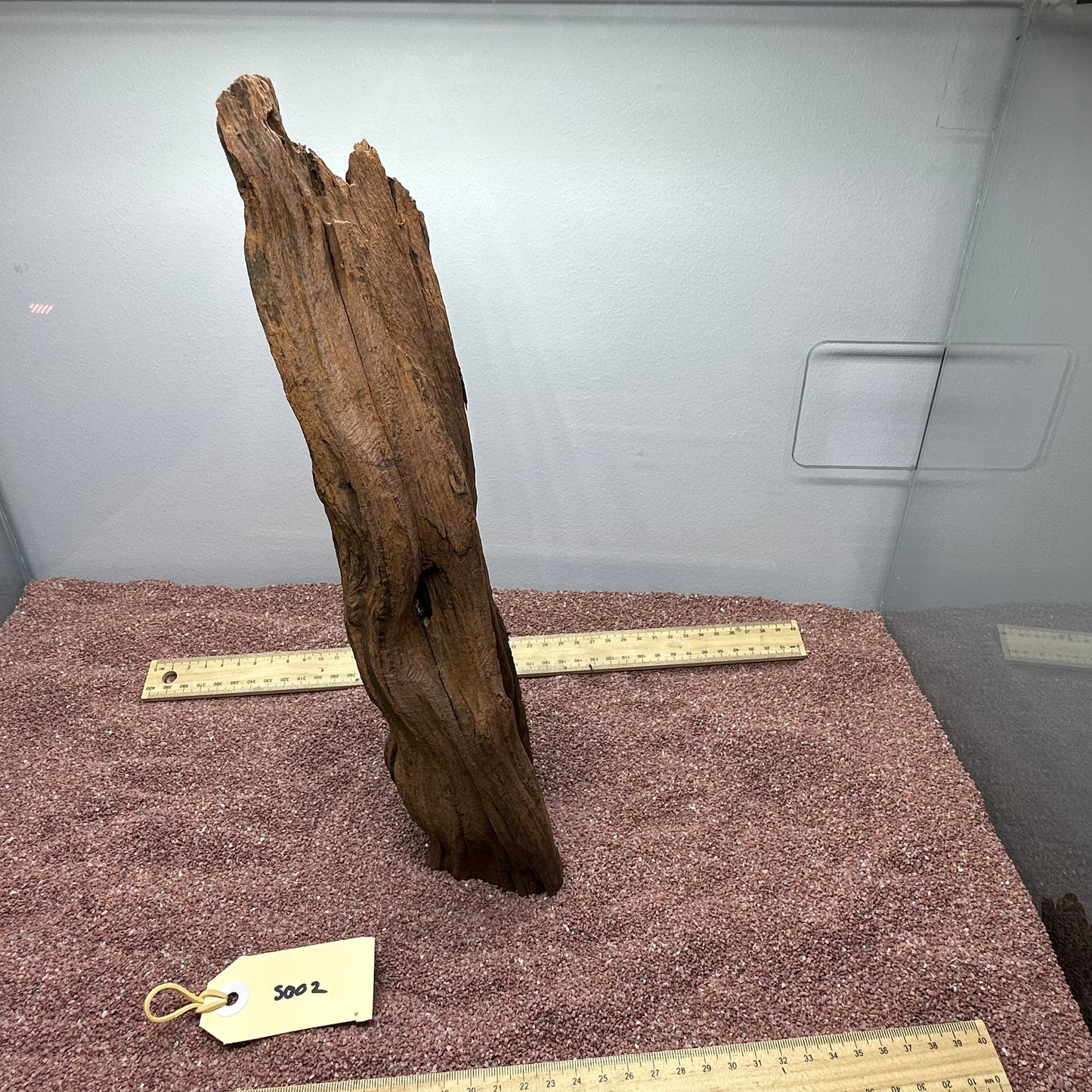 Driftwood (Small)