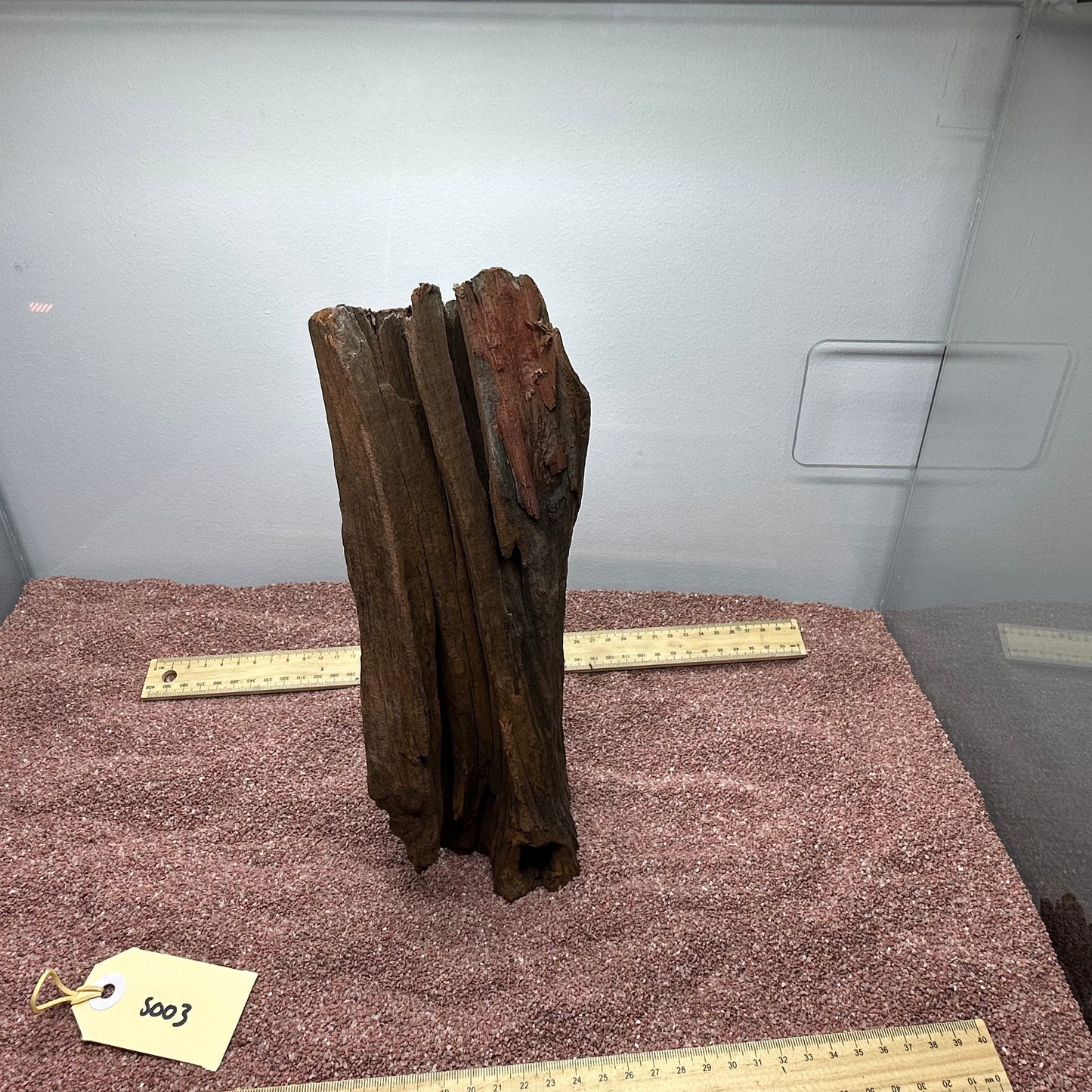 Driftwood (Small)