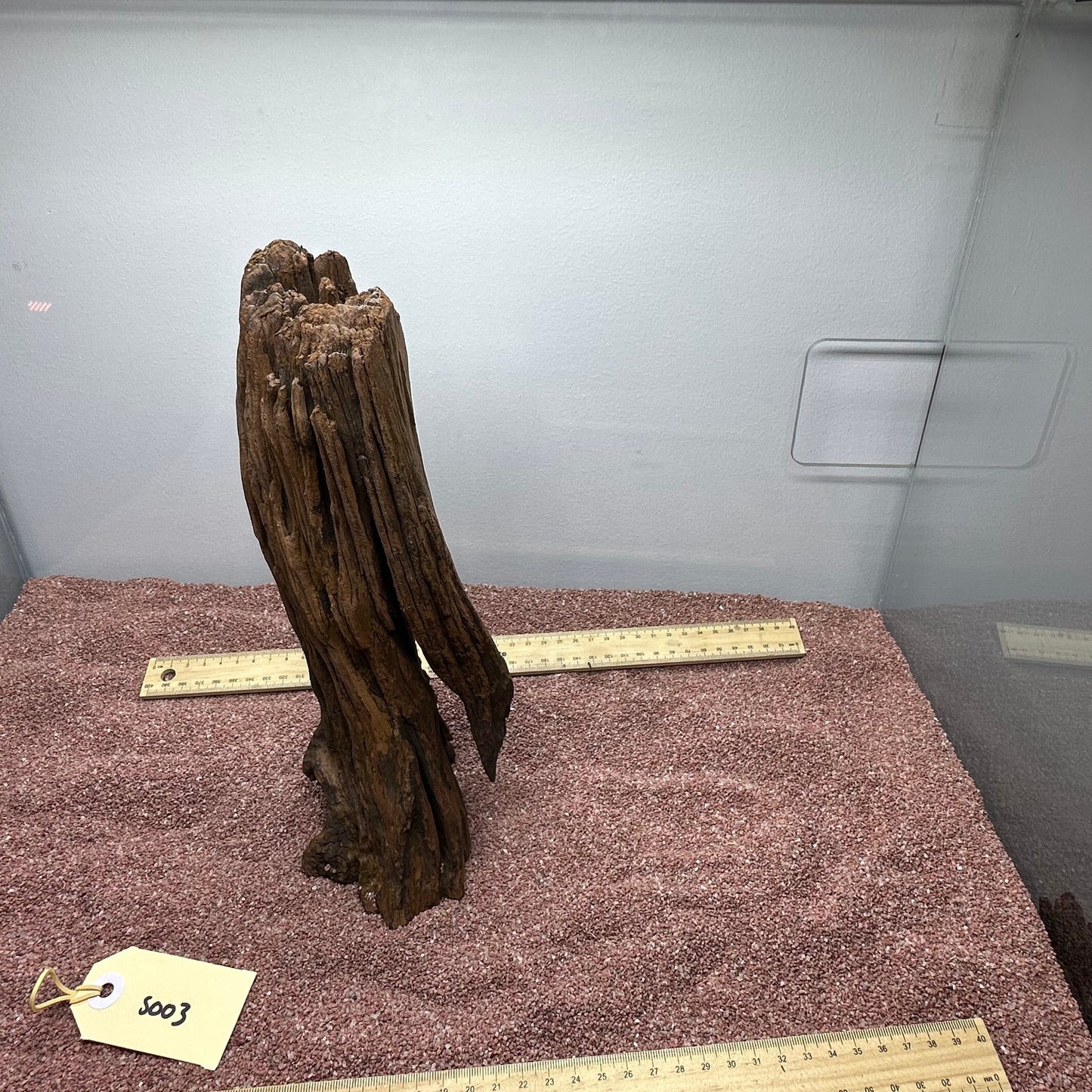 Driftwood (Small)