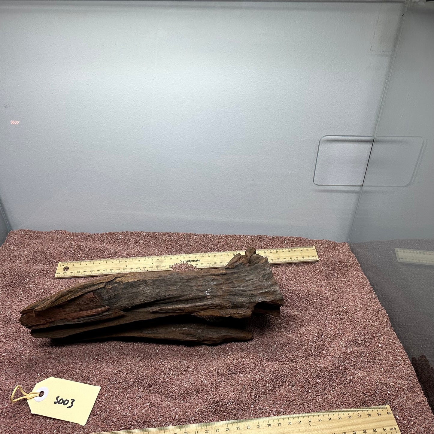 Driftwood (Small)