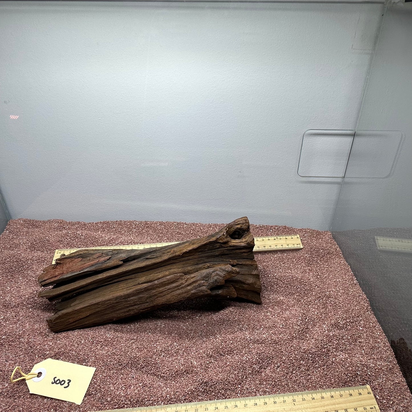 Driftwood (Small)