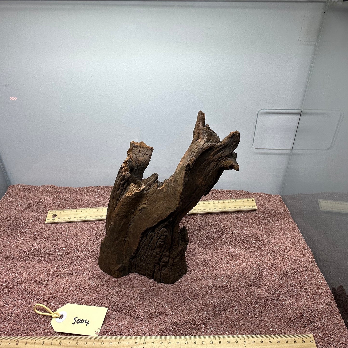 Driftwood (Small)