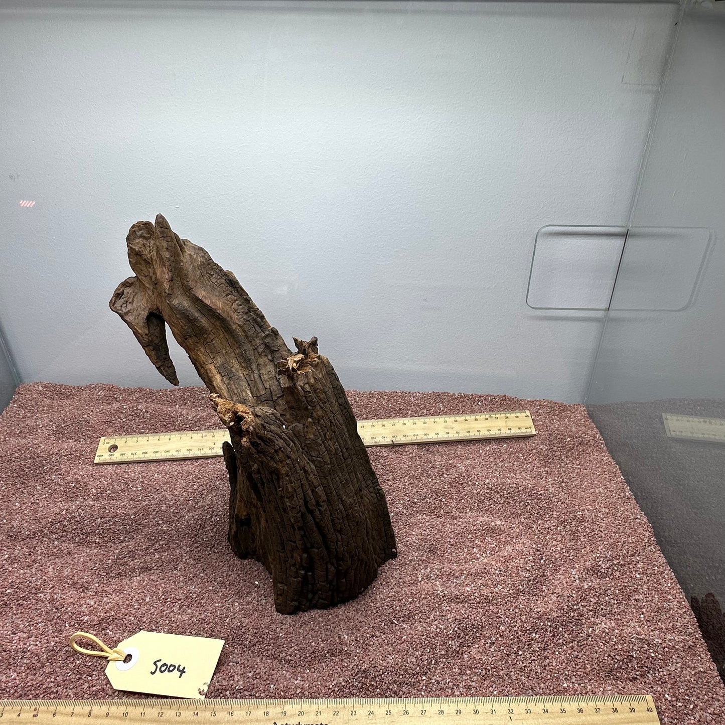 Driftwood (Small)