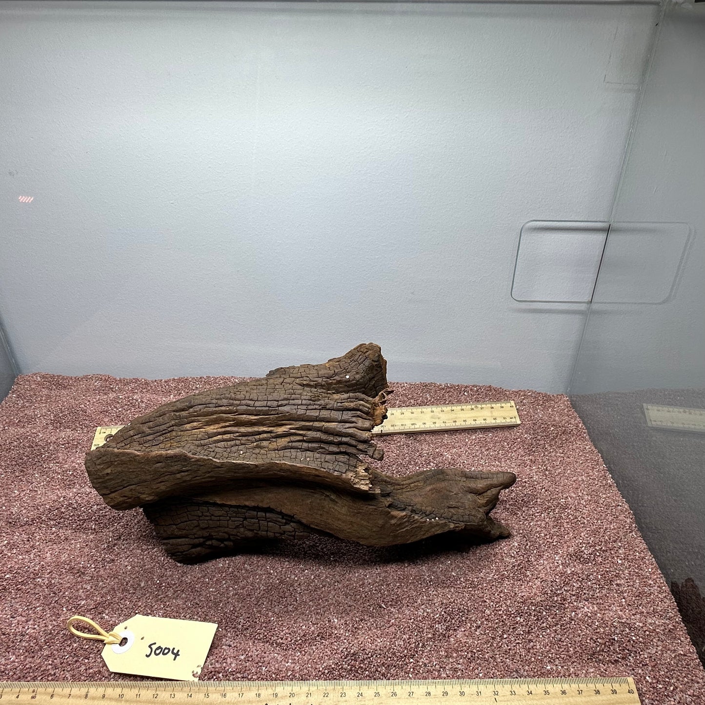Driftwood (Small)