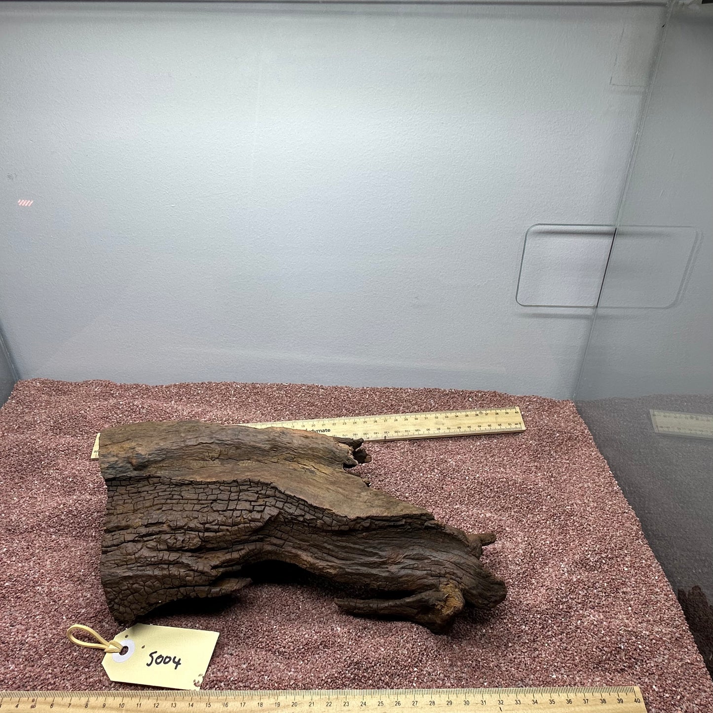 Driftwood (Small)