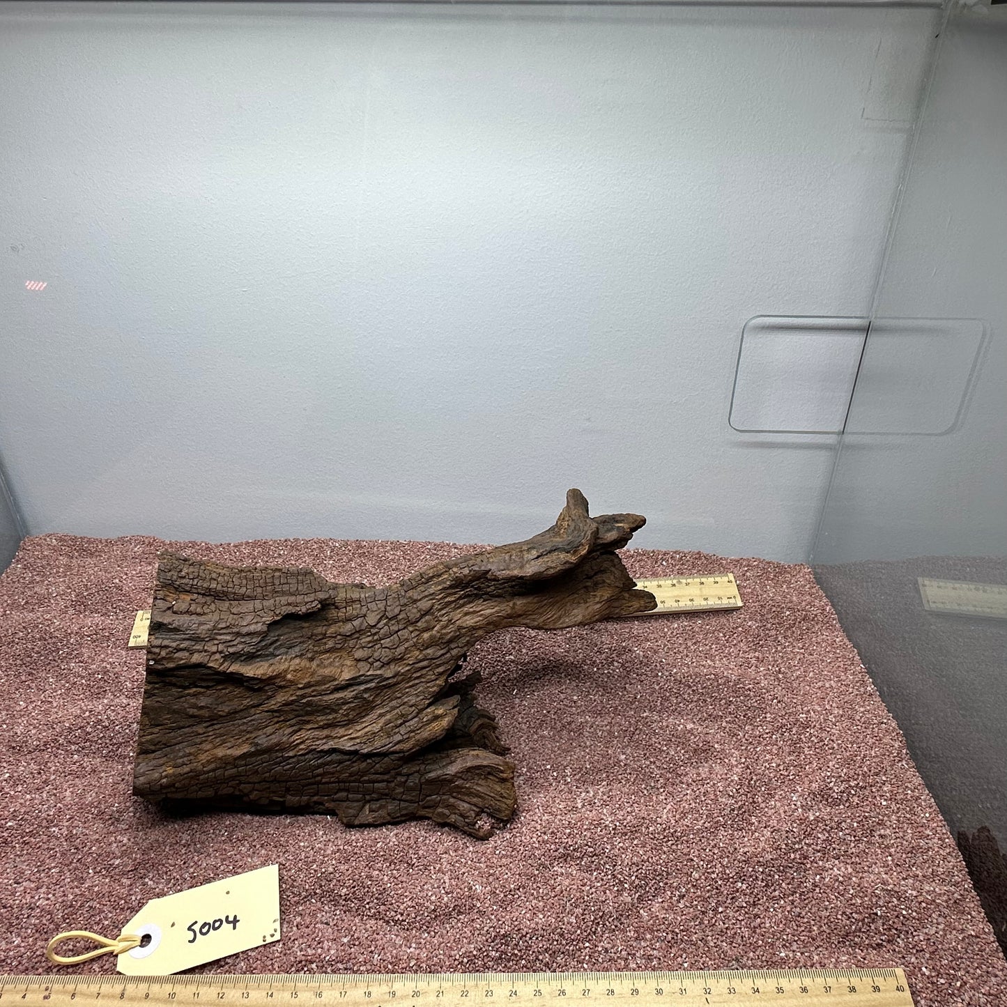 Driftwood (Small)