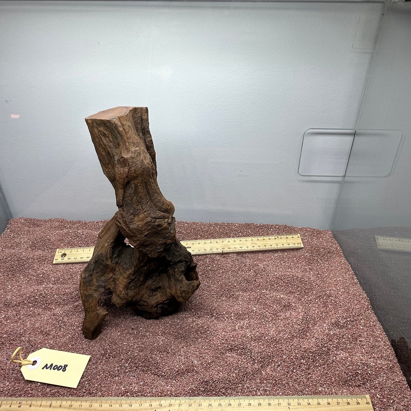 Driftwood (Medium)