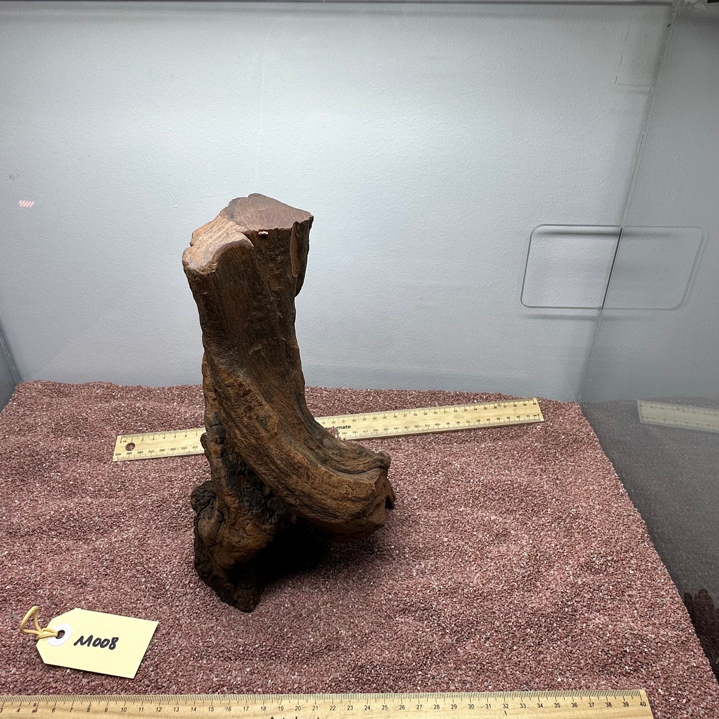 Driftwood (Medium)