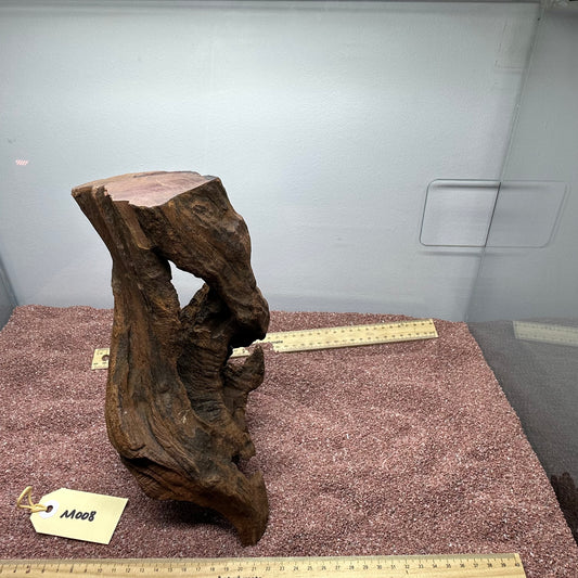 Driftwood (Medium)