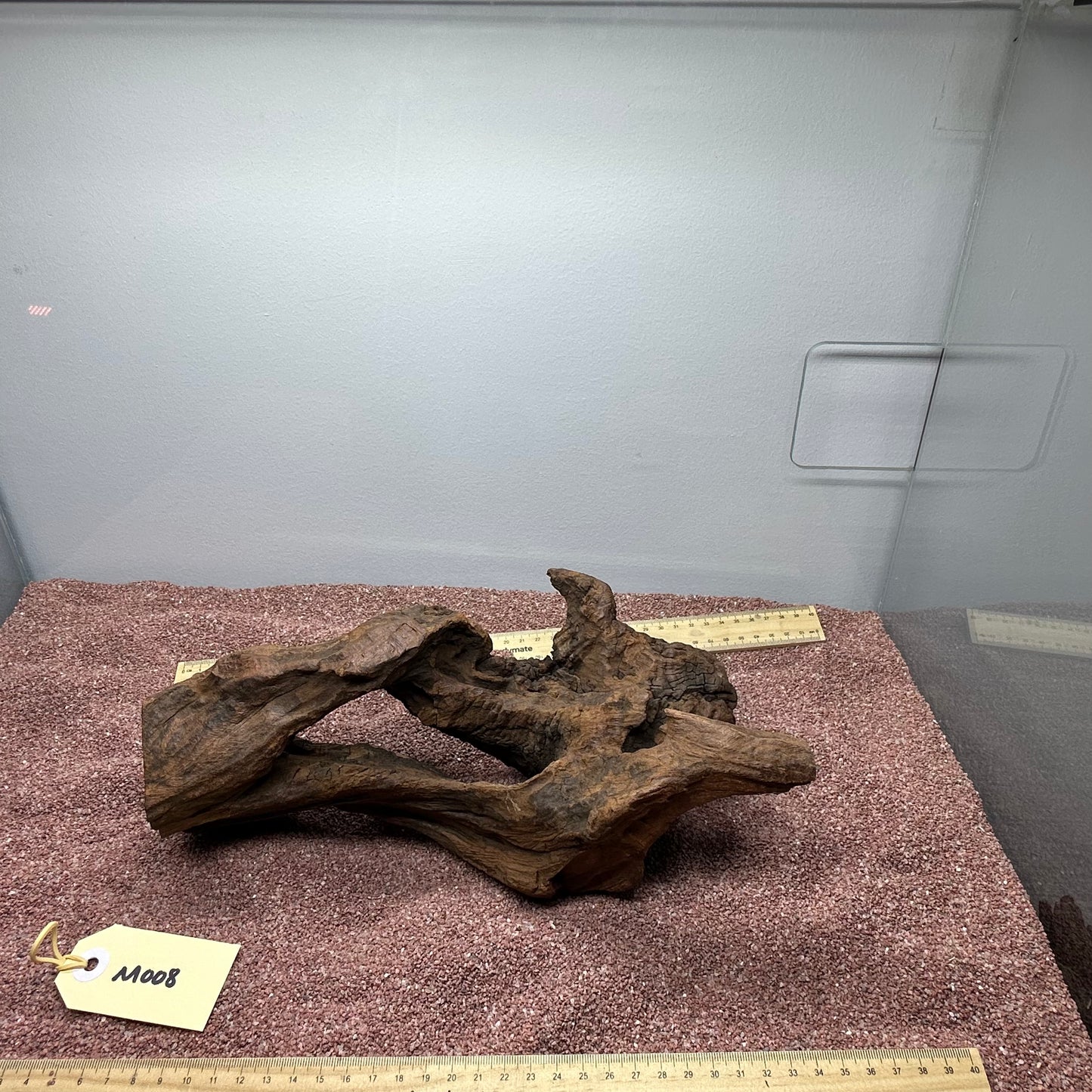 Driftwood (Medium)