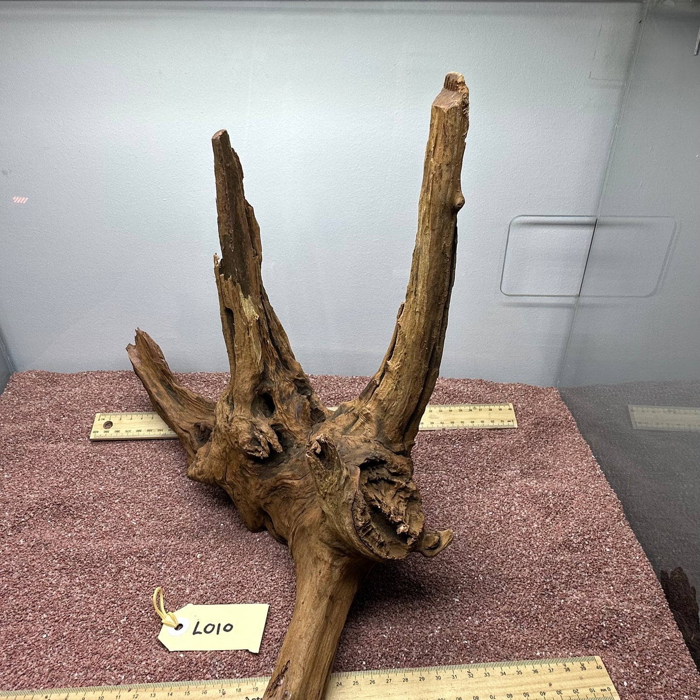 Driftwood (Large)