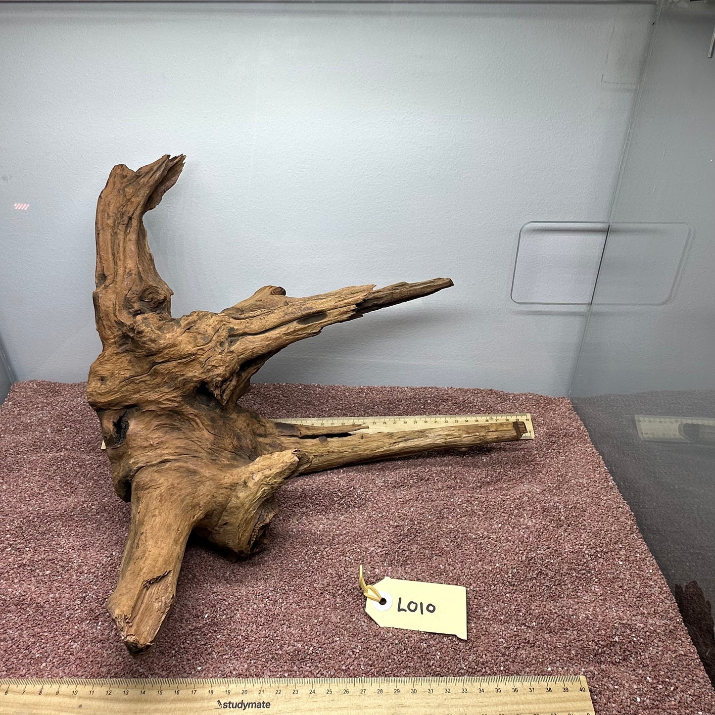 Driftwood (Large)