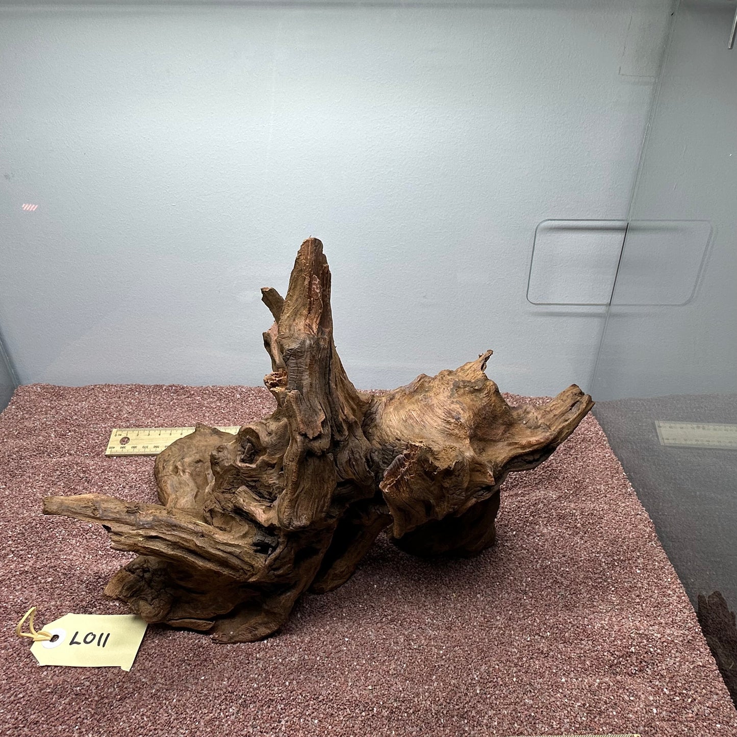 Driftwood (Large)