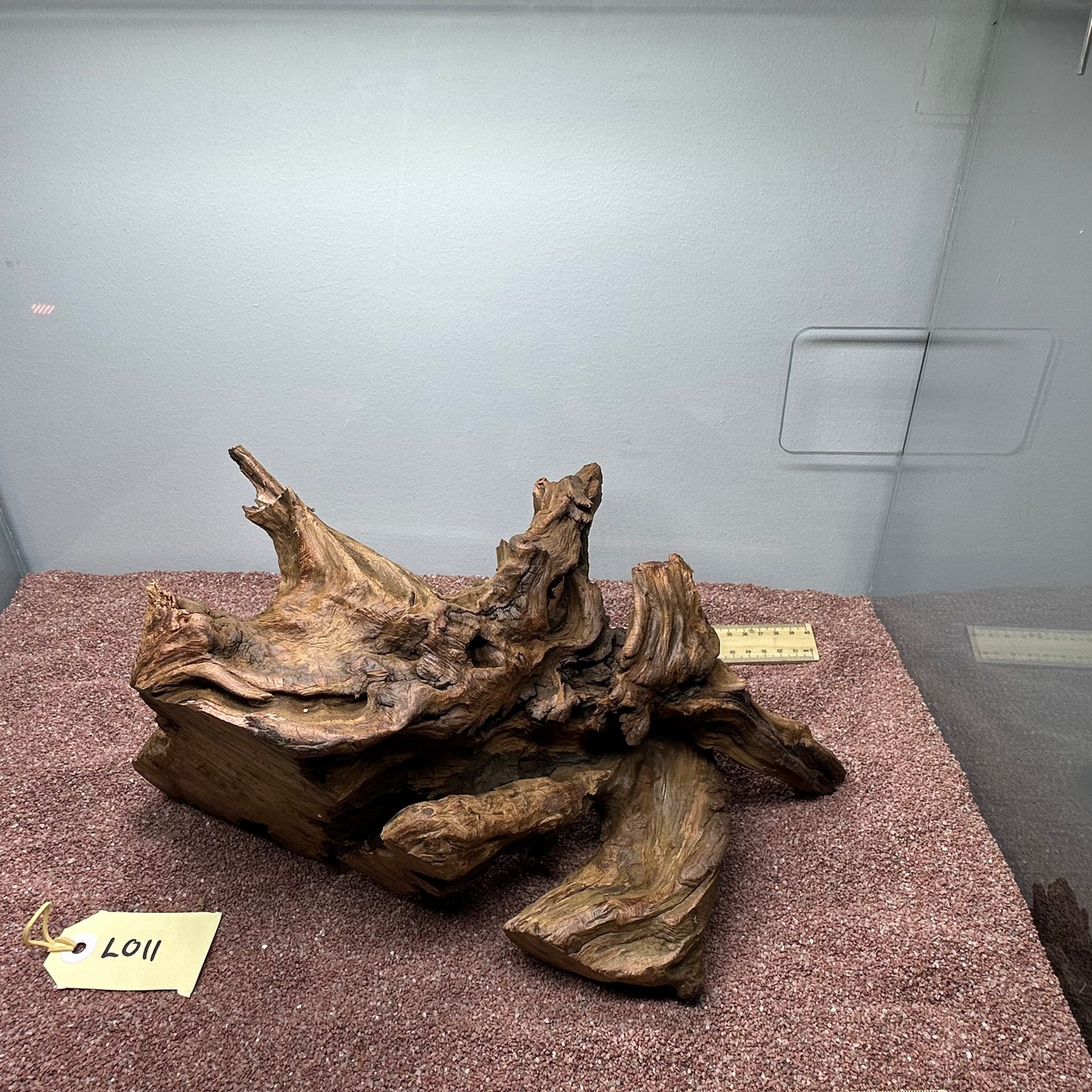 Driftwood (Large)