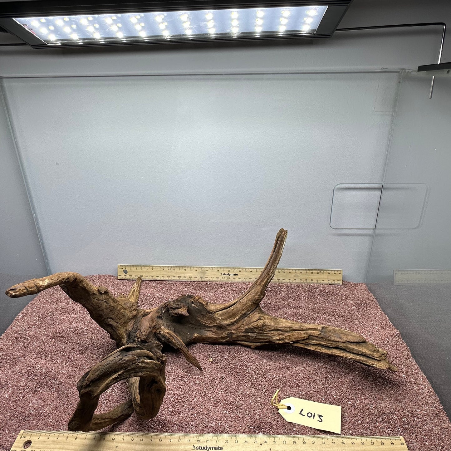 Driftwood (Large)