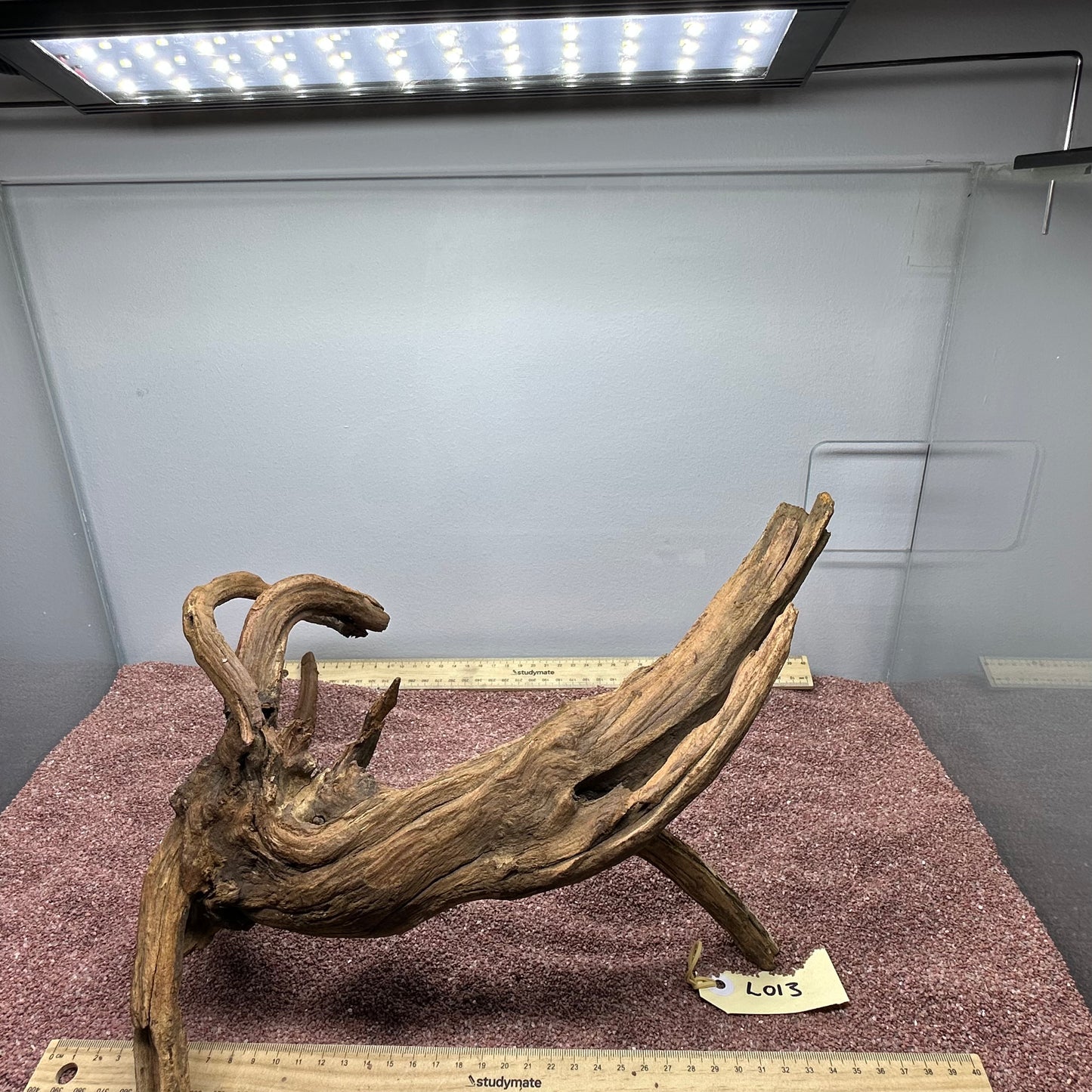 Driftwood (Large)