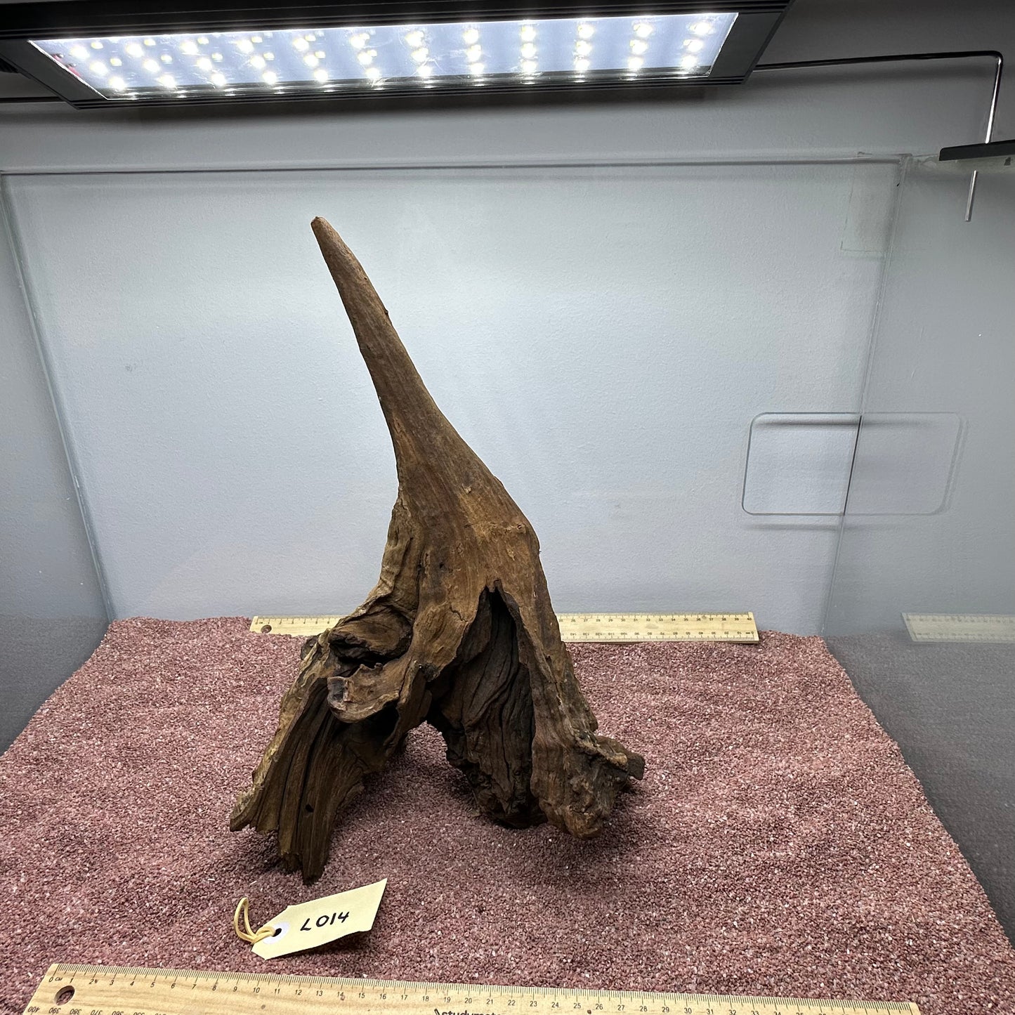 Driftwood (Large)