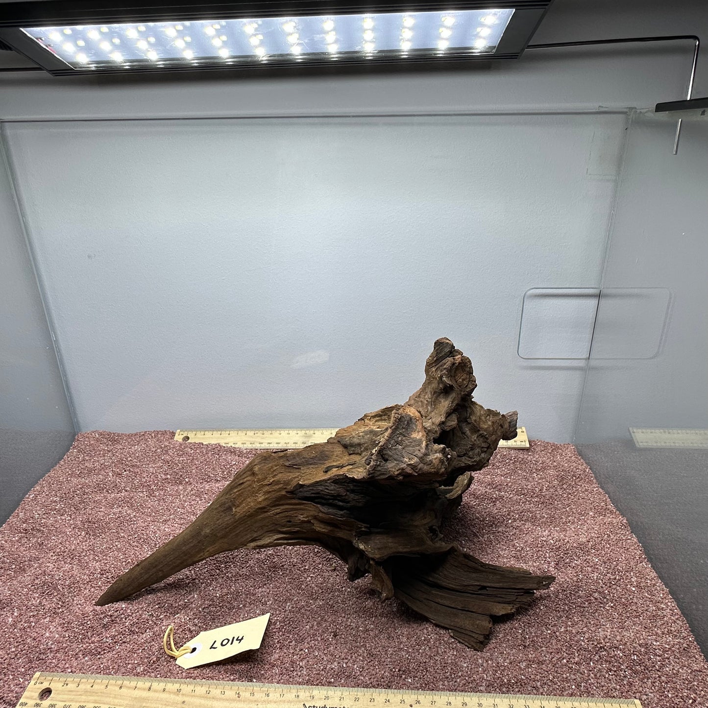 Driftwood (Large)