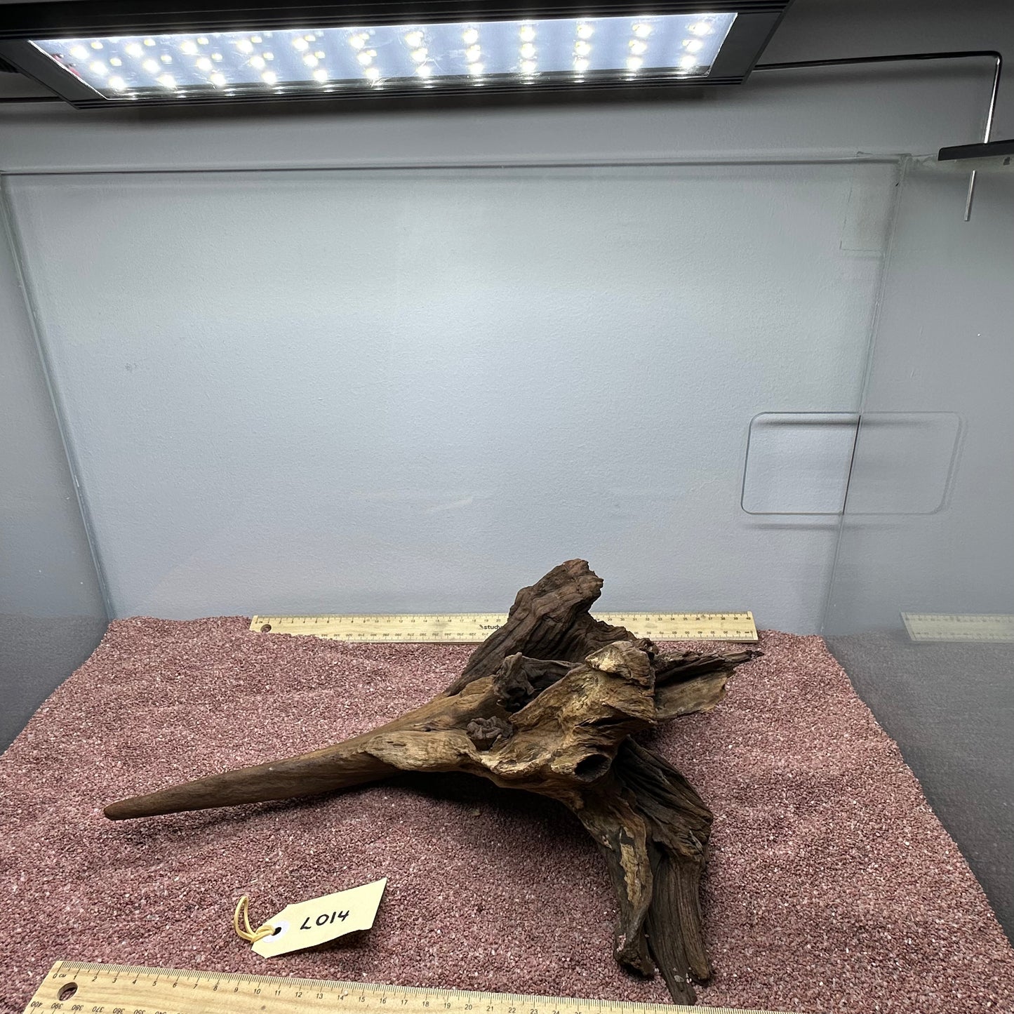 Driftwood (Large)