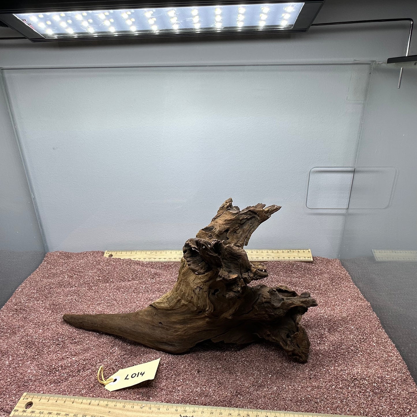 Driftwood (Large)