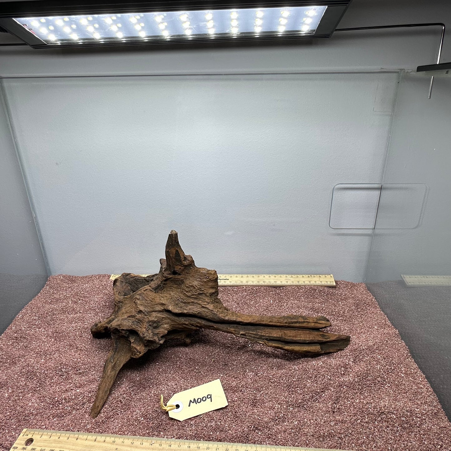 Driftwood (Medium)