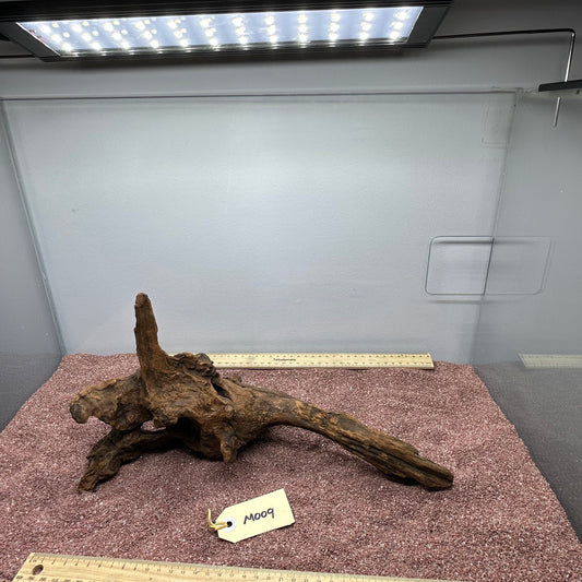 Driftwood (Medium)