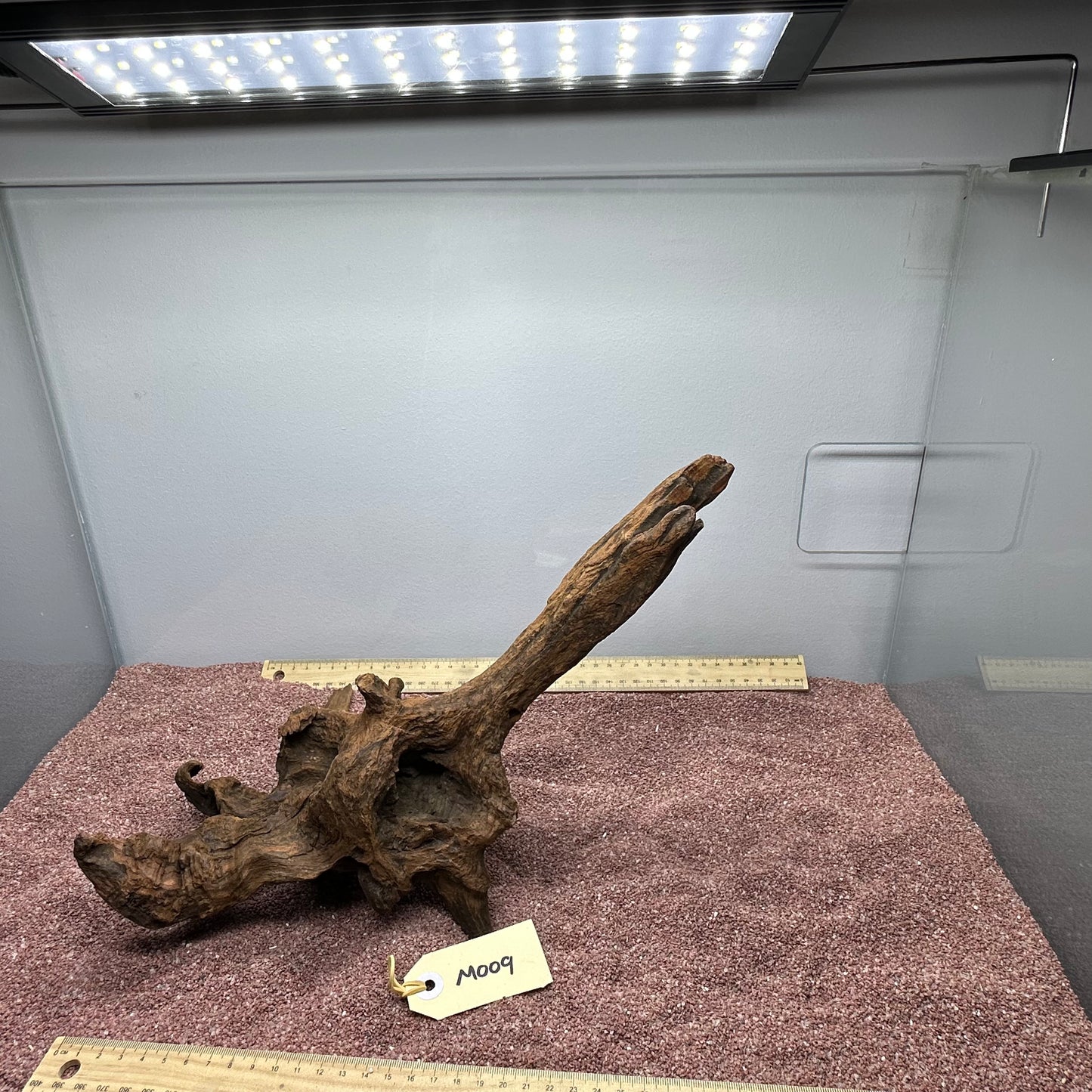Driftwood (Medium)
