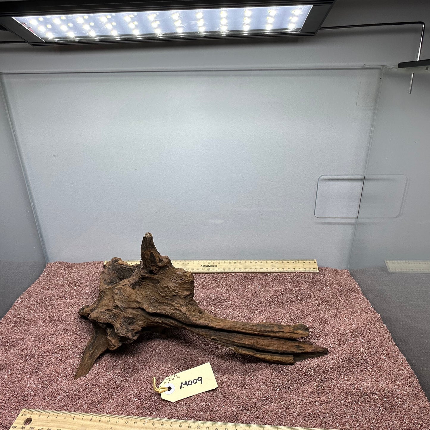 Driftwood (Medium)