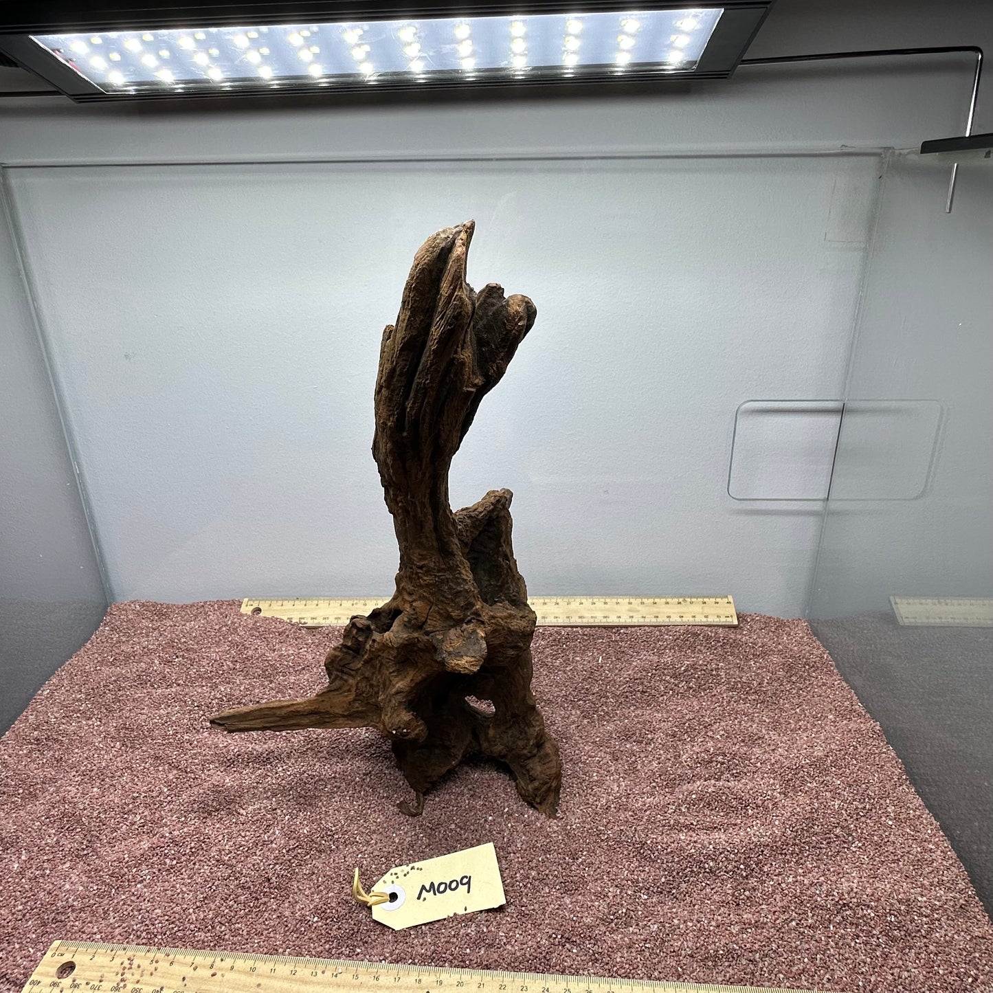 Driftwood (Medium)