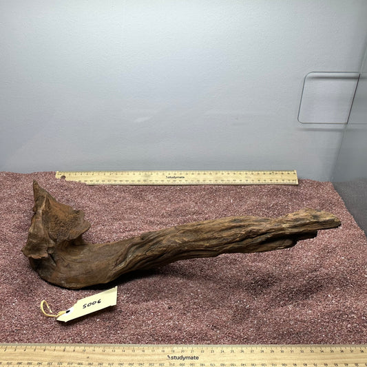Driftwood (Small)